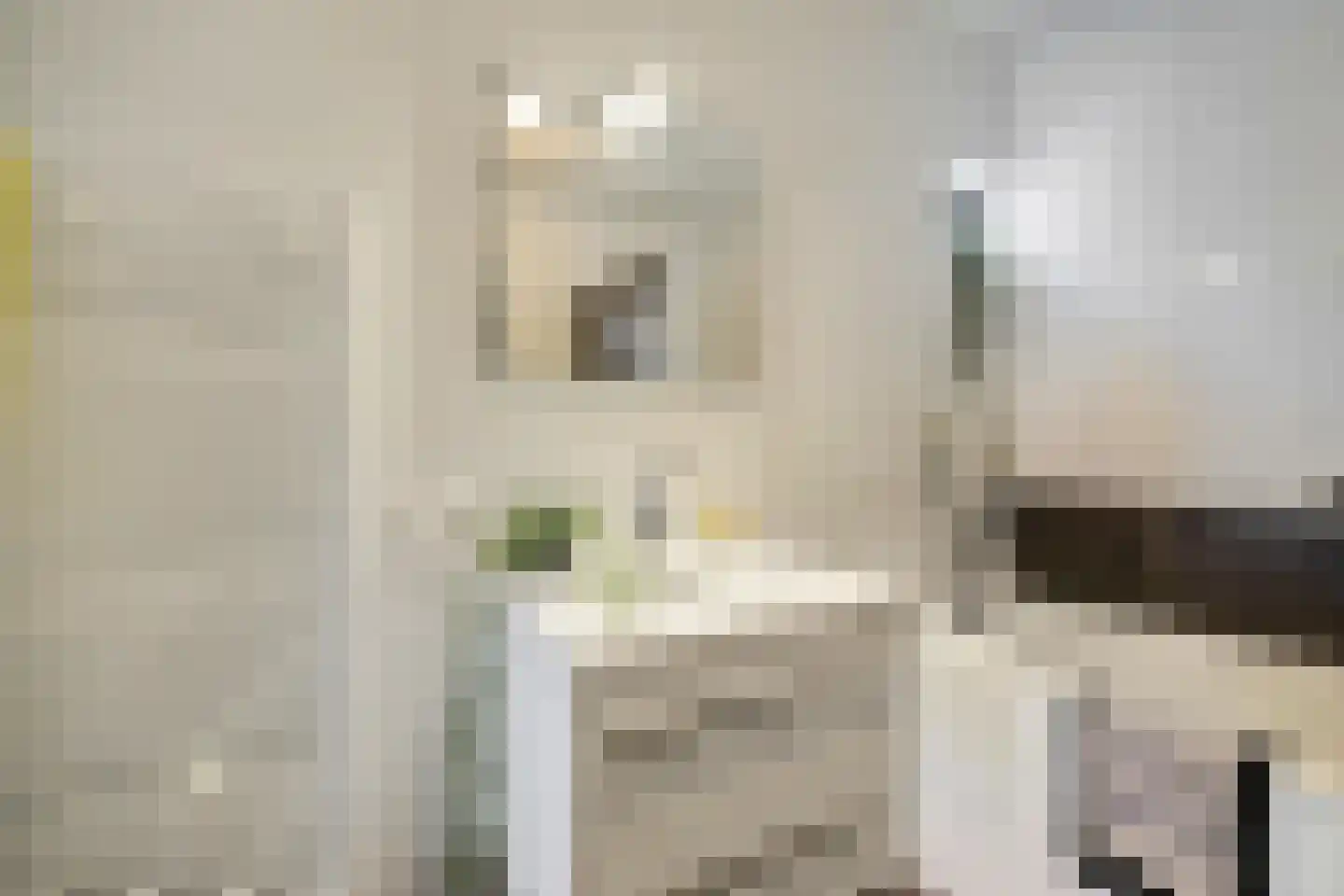 Henk Cornelisstraat 7 Groningen thumbnail 25