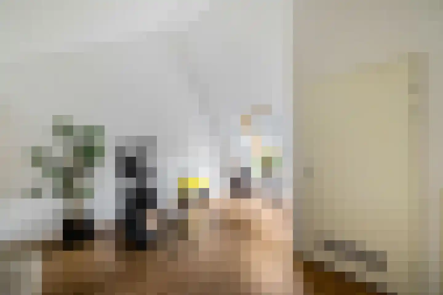 Henk Cornelisstraat 7 Groningen thumbnail 27