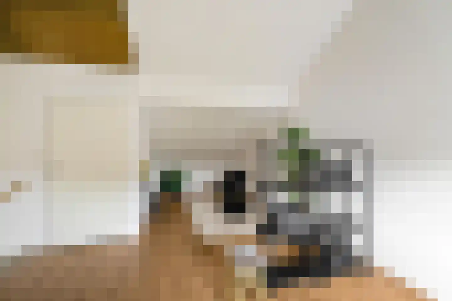 Henk Cornelisstraat 7 Groningen thumbnail 29