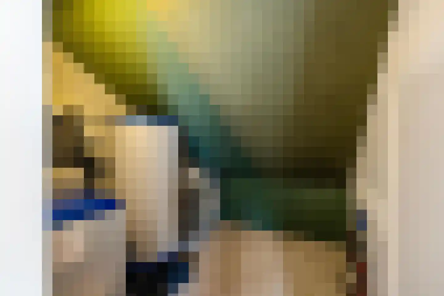 Henk Cornelisstraat 7 Groningen thumbnail 32