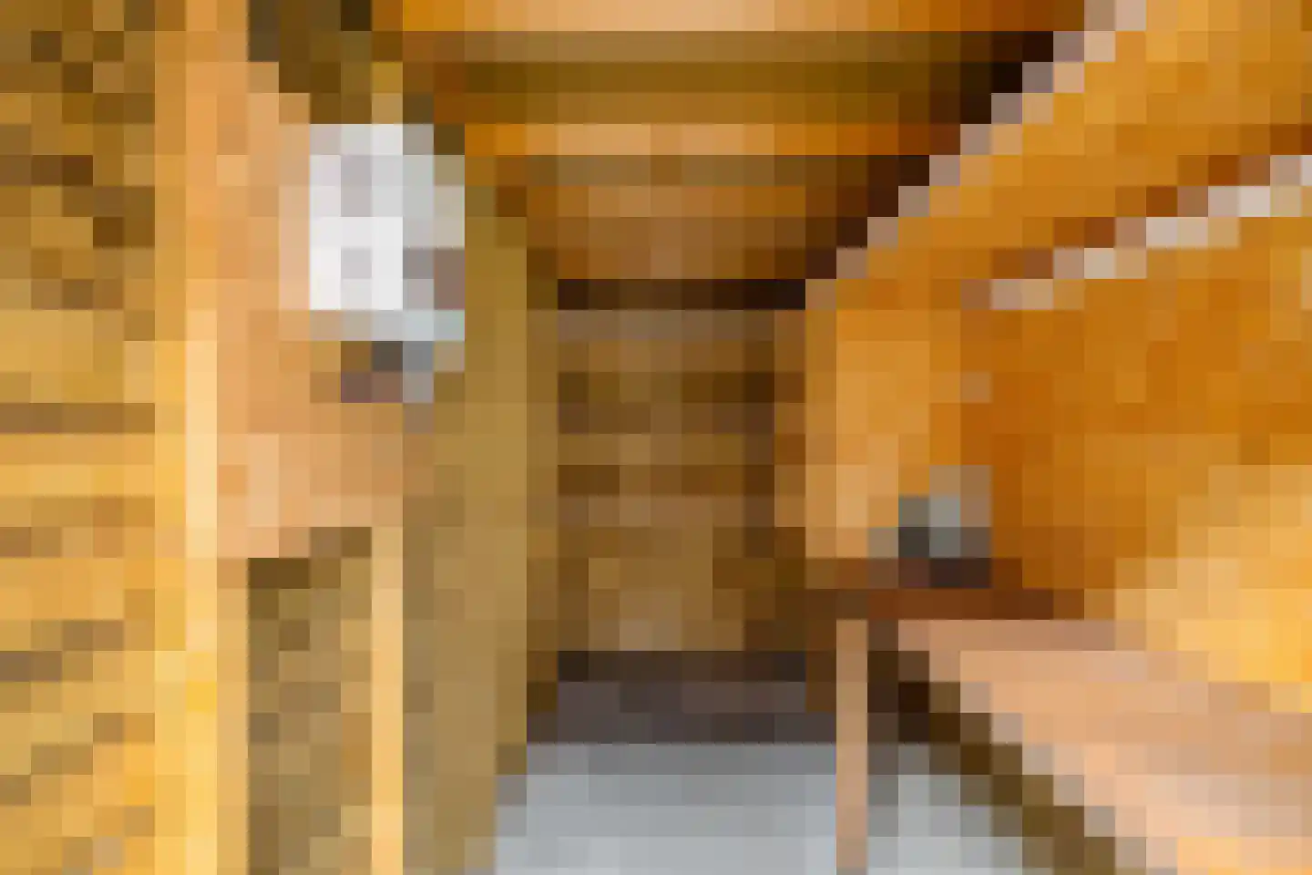 Henk Cornelisstraat 7 Groningen thumbnail 35