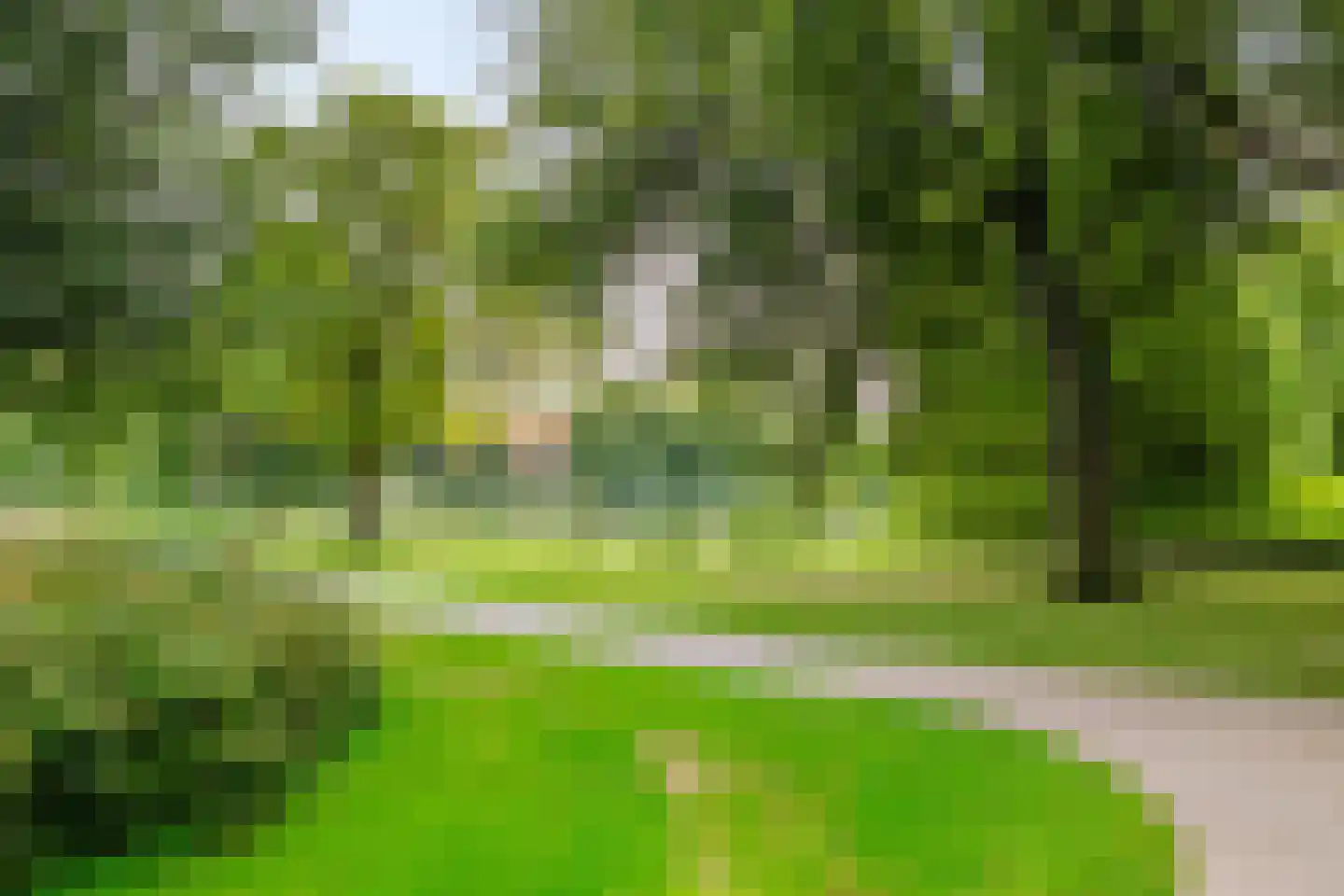 Henk Cornelisstraat 7 Groningen thumbnail 40