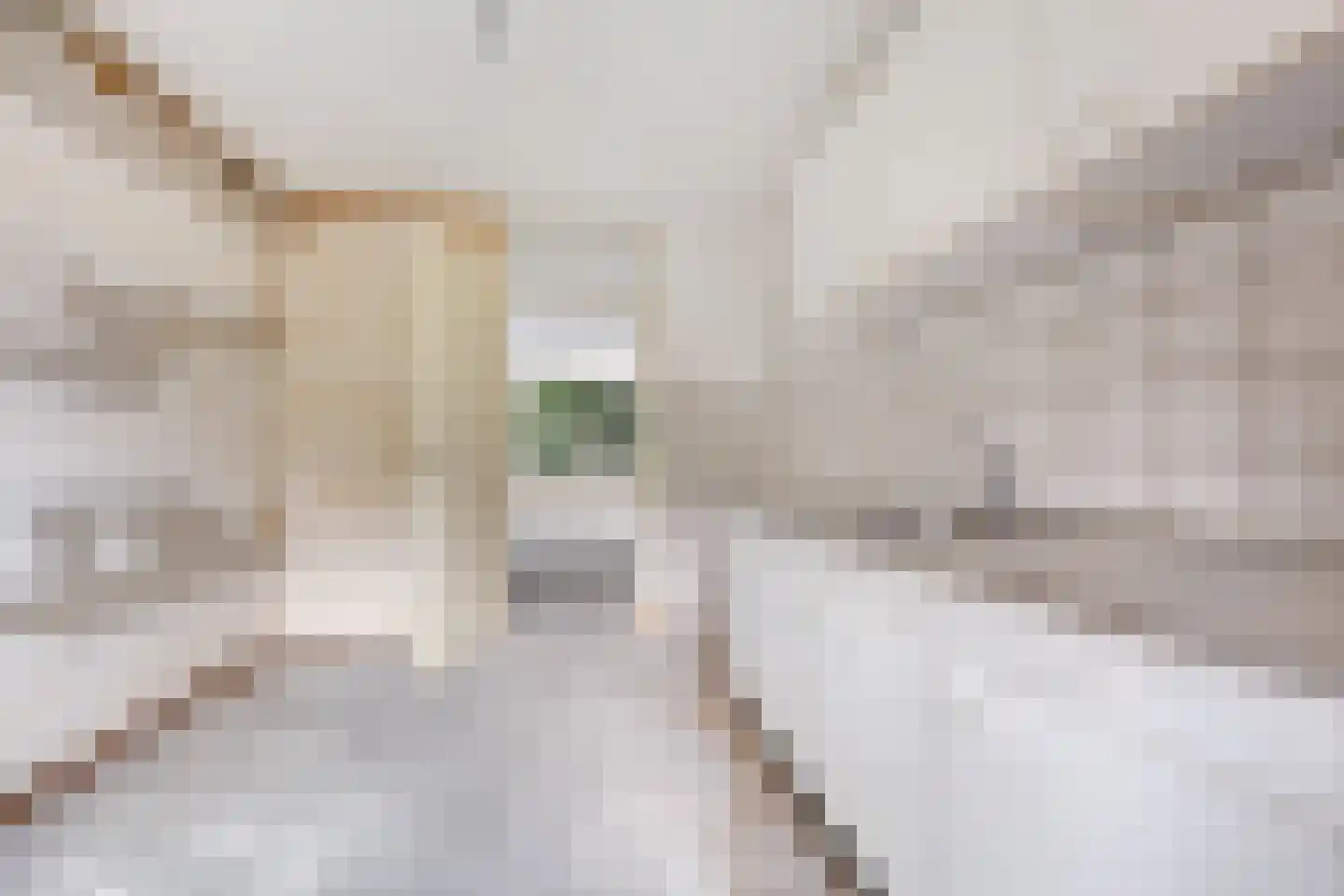 Henk Curièrekade 28 Amsterdam thumbnail 14