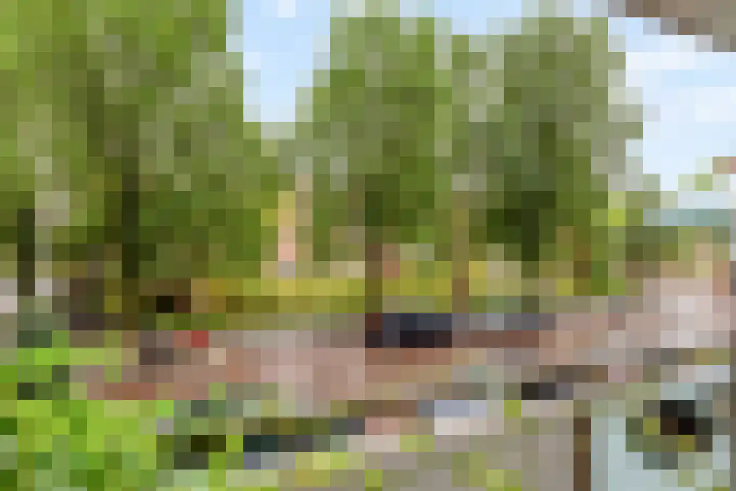 Henk Curièrekade 28 Amsterdam thumbnail 5