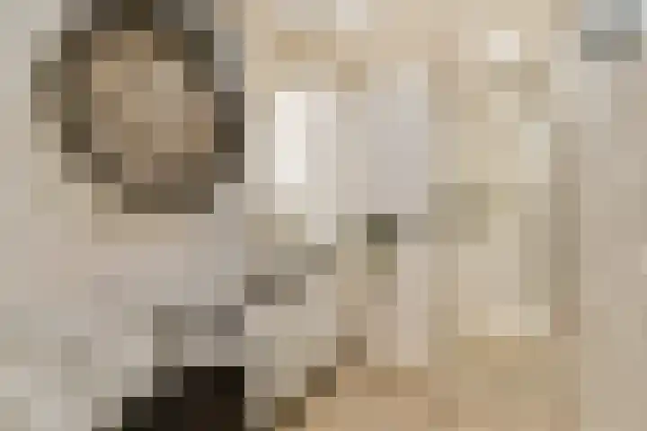 Henk Curièrekade 60 Amsterdam thumbnail 15
