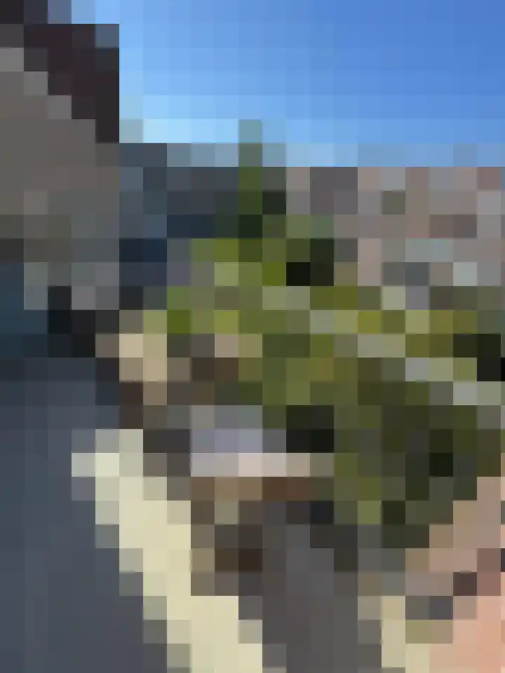 Henk Curièrekade 60 Amsterdam thumbnail 19