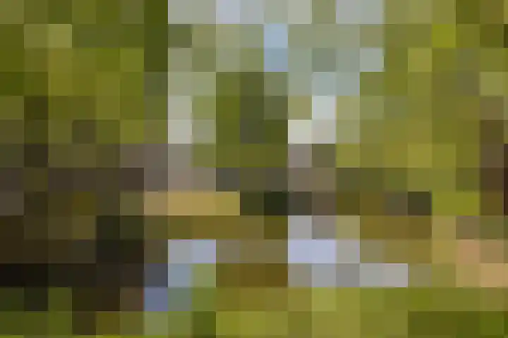 Henk Curièrekade 60 Amsterdam thumbnail 23