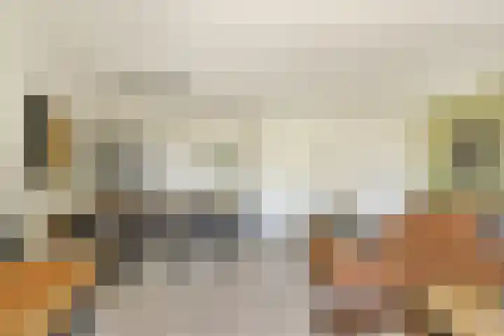 Henk Curièrekade 60 Amsterdam thumbnail 6