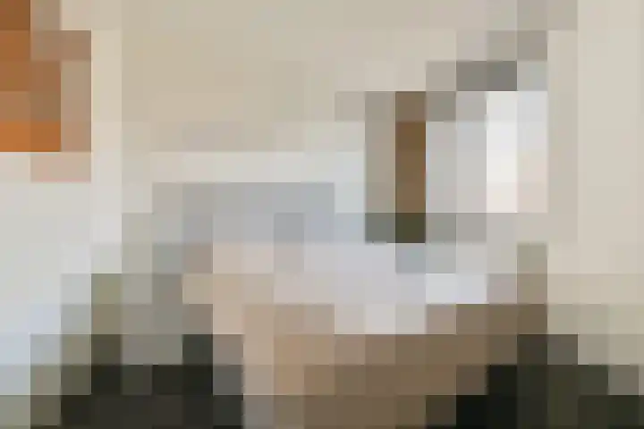 Henk Curièrekade 60 Amsterdam thumbnail 9