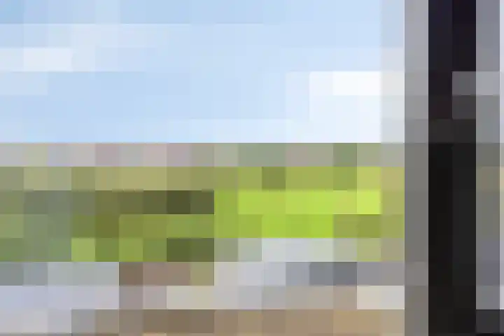 Henk Derksenstraat 5 Coevorden thumbnail 13