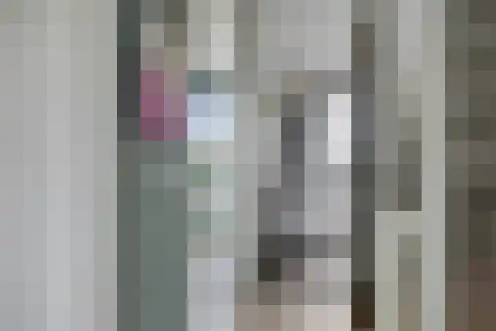 Henk Derksenstraat 5 Coevorden thumbnail 16