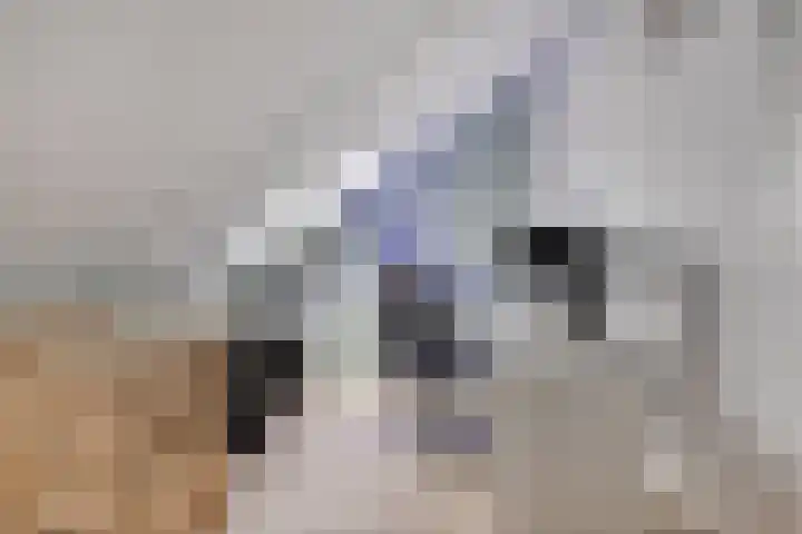 Henk Derksenstraat 5 Coevorden thumbnail 21