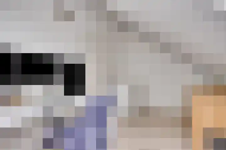Henk Derksenstraat 5 Coevorden thumbnail 22
