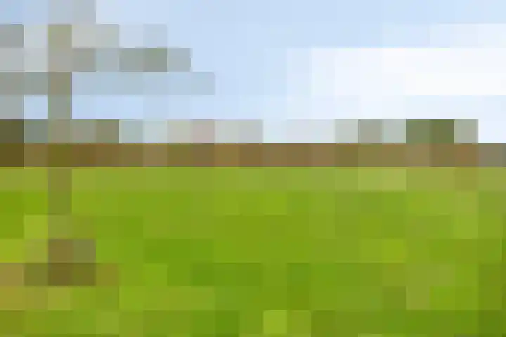 Henk Derksenstraat 5 Coevorden thumbnail 29