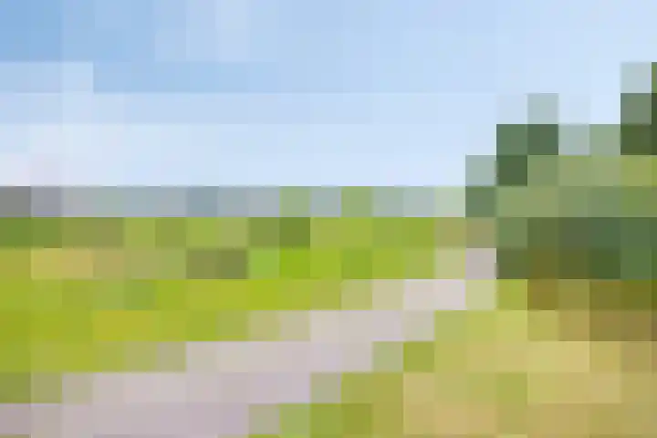Henk Derksenstraat 5 Coevorden thumbnail 30