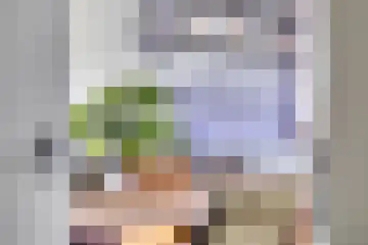 Henk Derksenstraat 5 Coevorden thumbnail 4