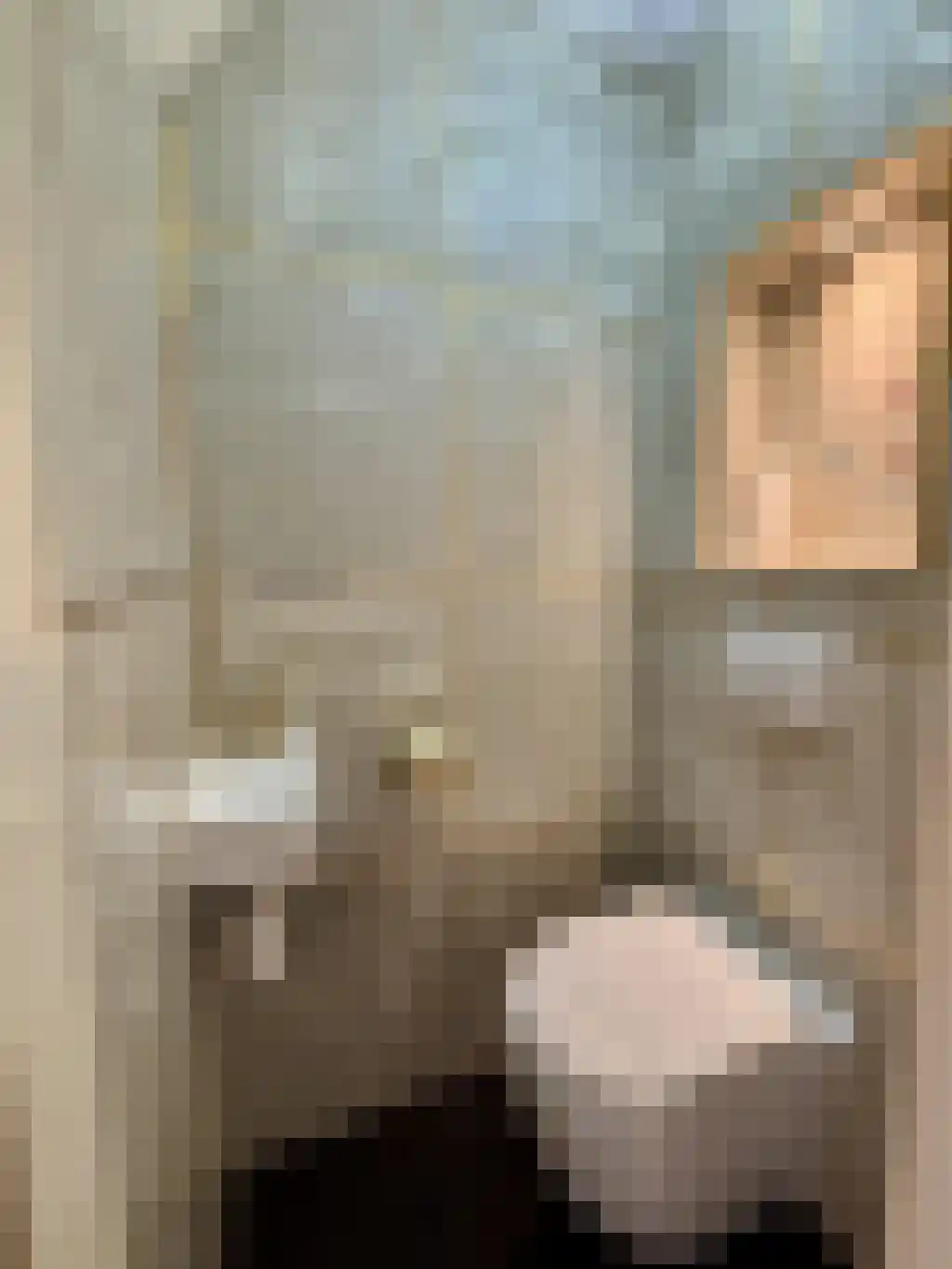 Henk Höftenstraat 20 Almelo thumbnail 5