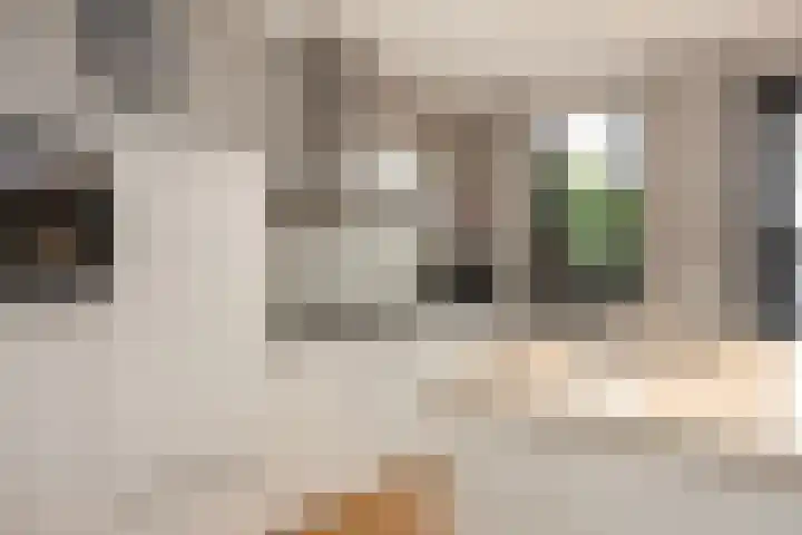 Henk Lammstraat 10 Hengelo thumbnail 15