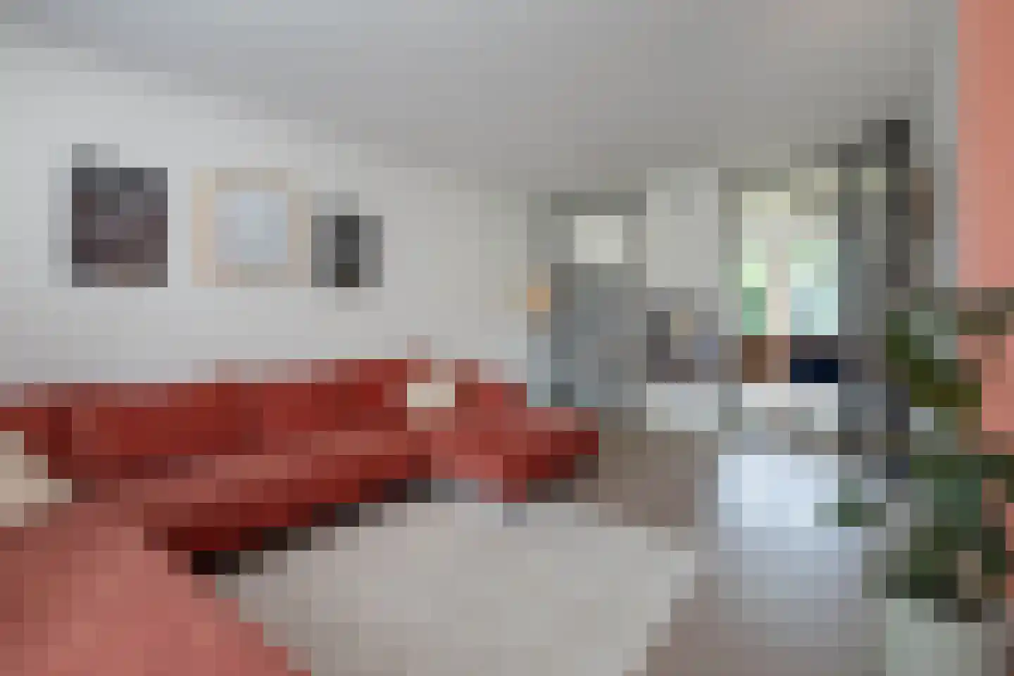 Henk Lammstraat 15 Hengelo thumbnail 14