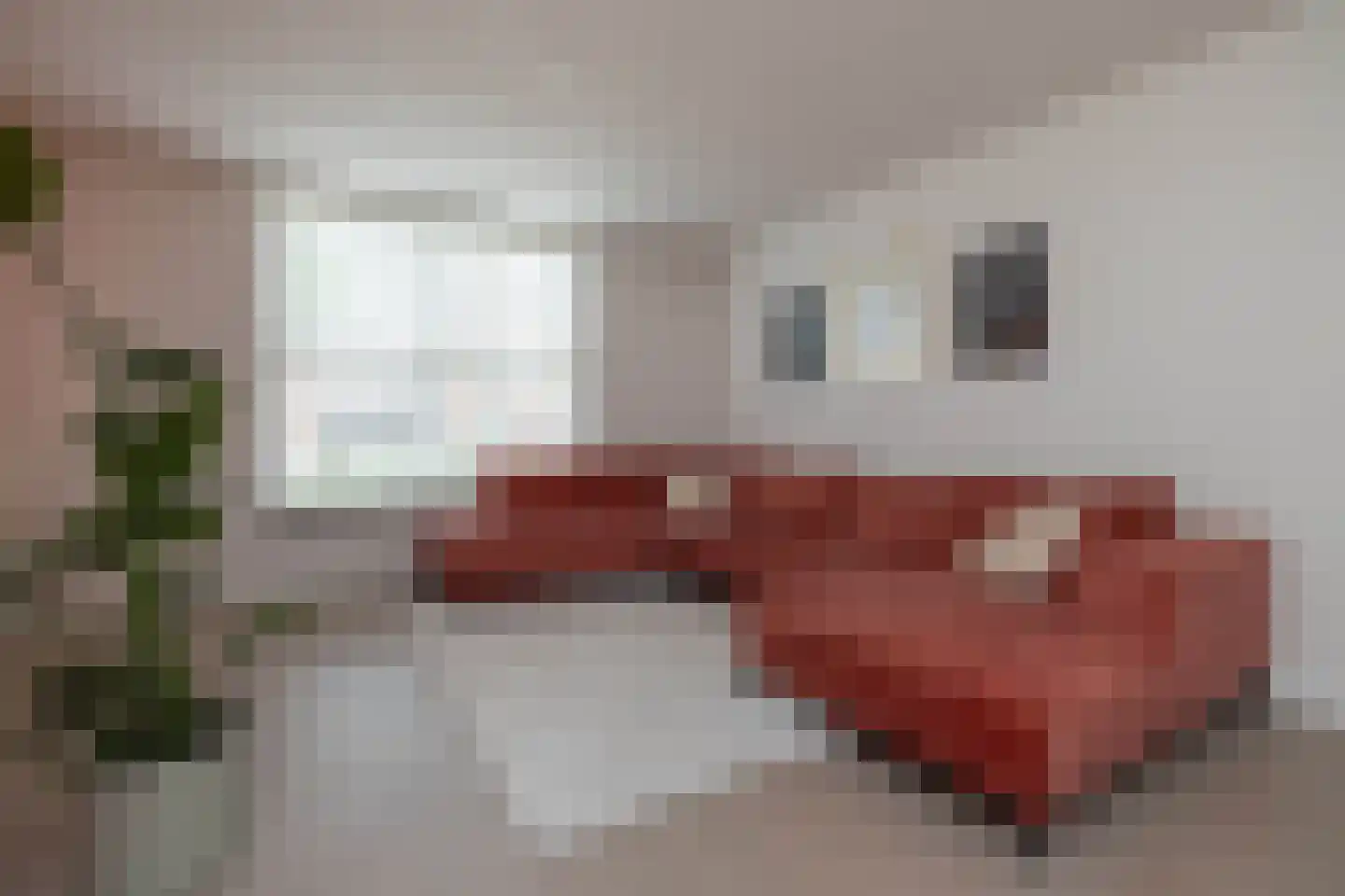 Henk Lammstraat 15 Hengelo thumbnail 15