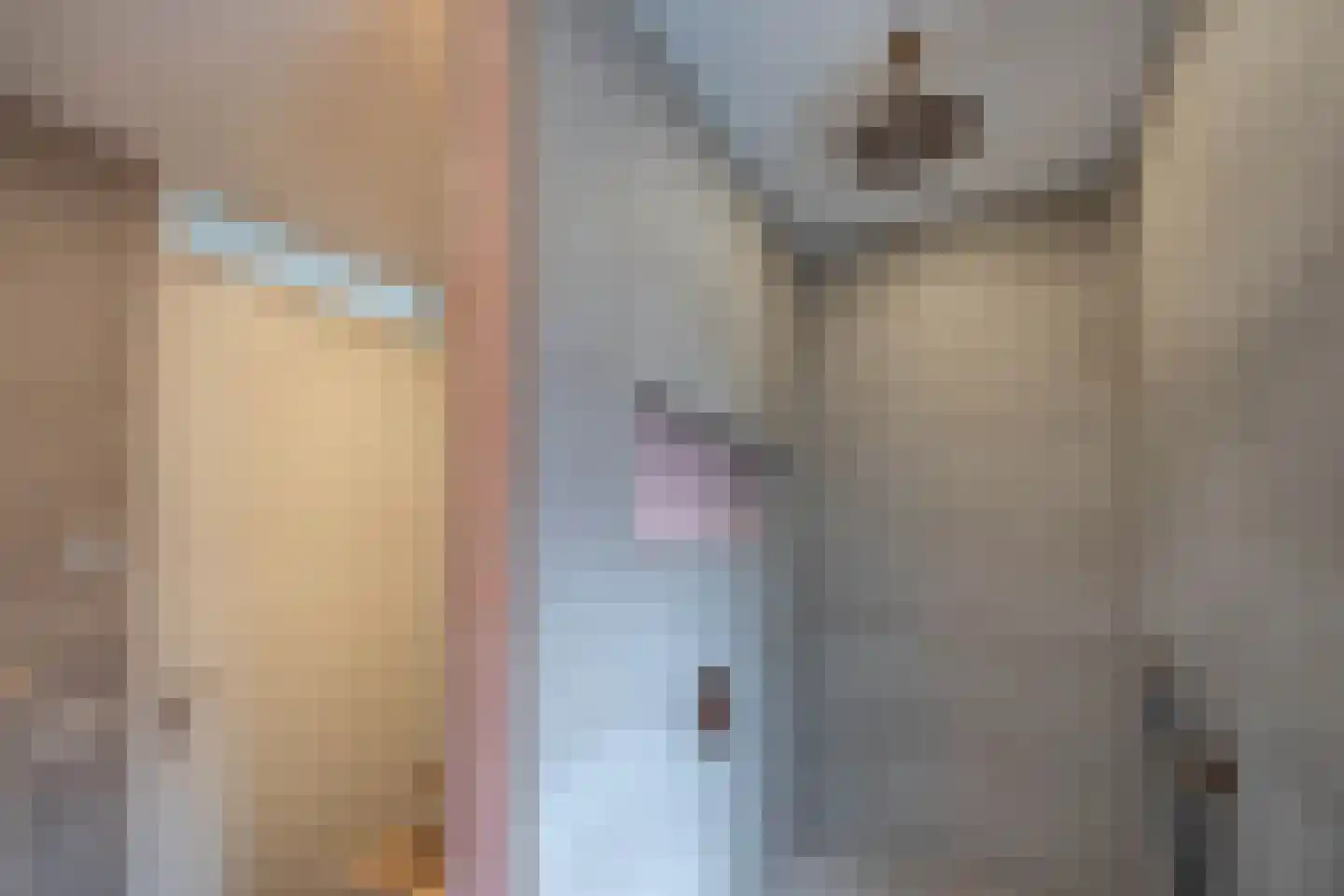 Henk Lammstraat 15 Hengelo thumbnail 23