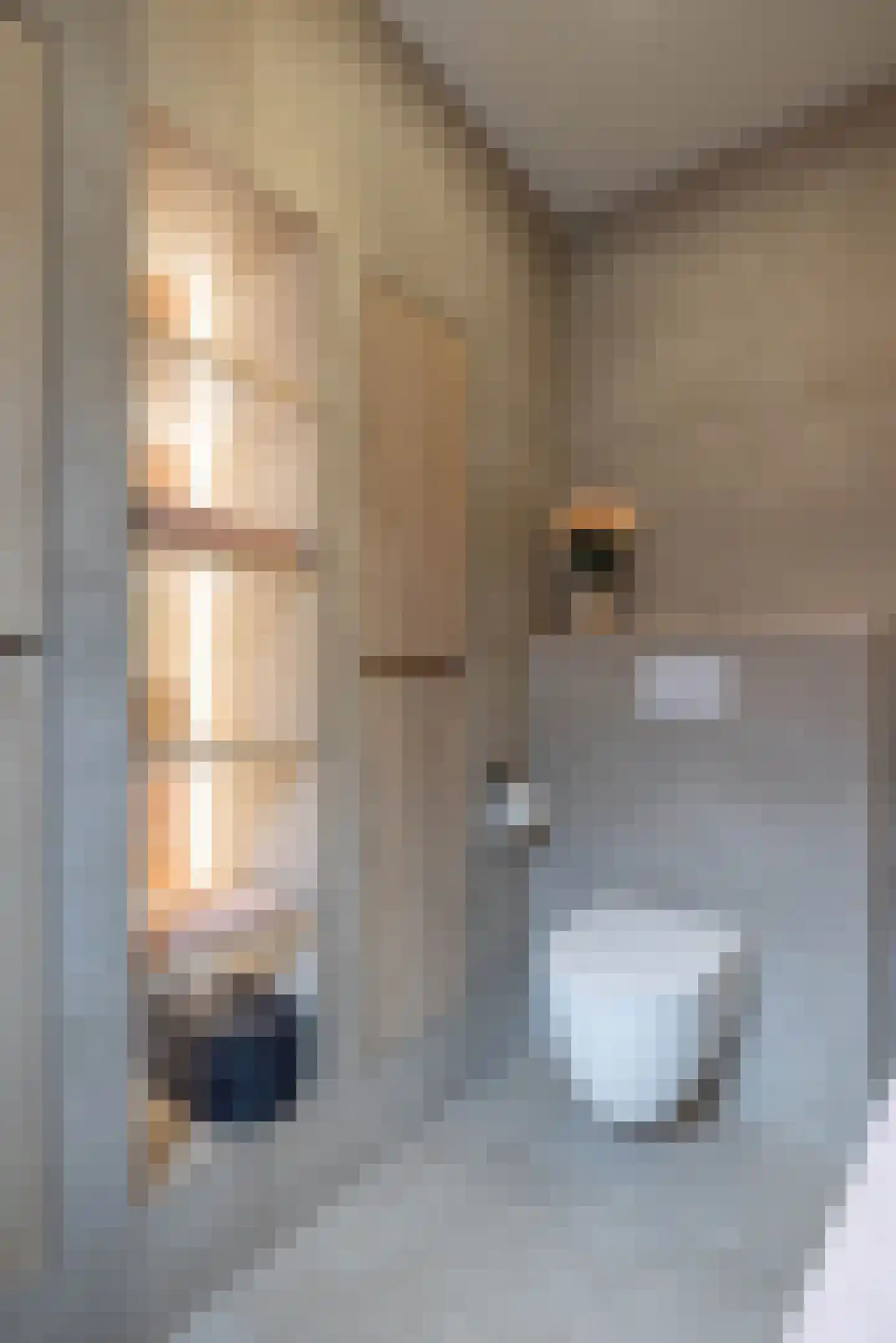 Henk Lammstraat 15 Hengelo thumbnail 25