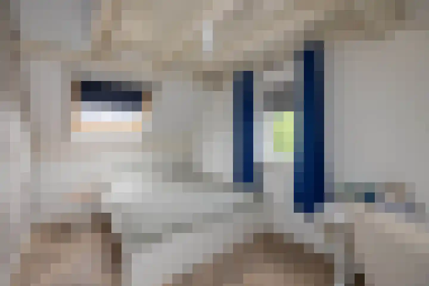 Henk Lammstraat 15 Hengelo thumbnail 27