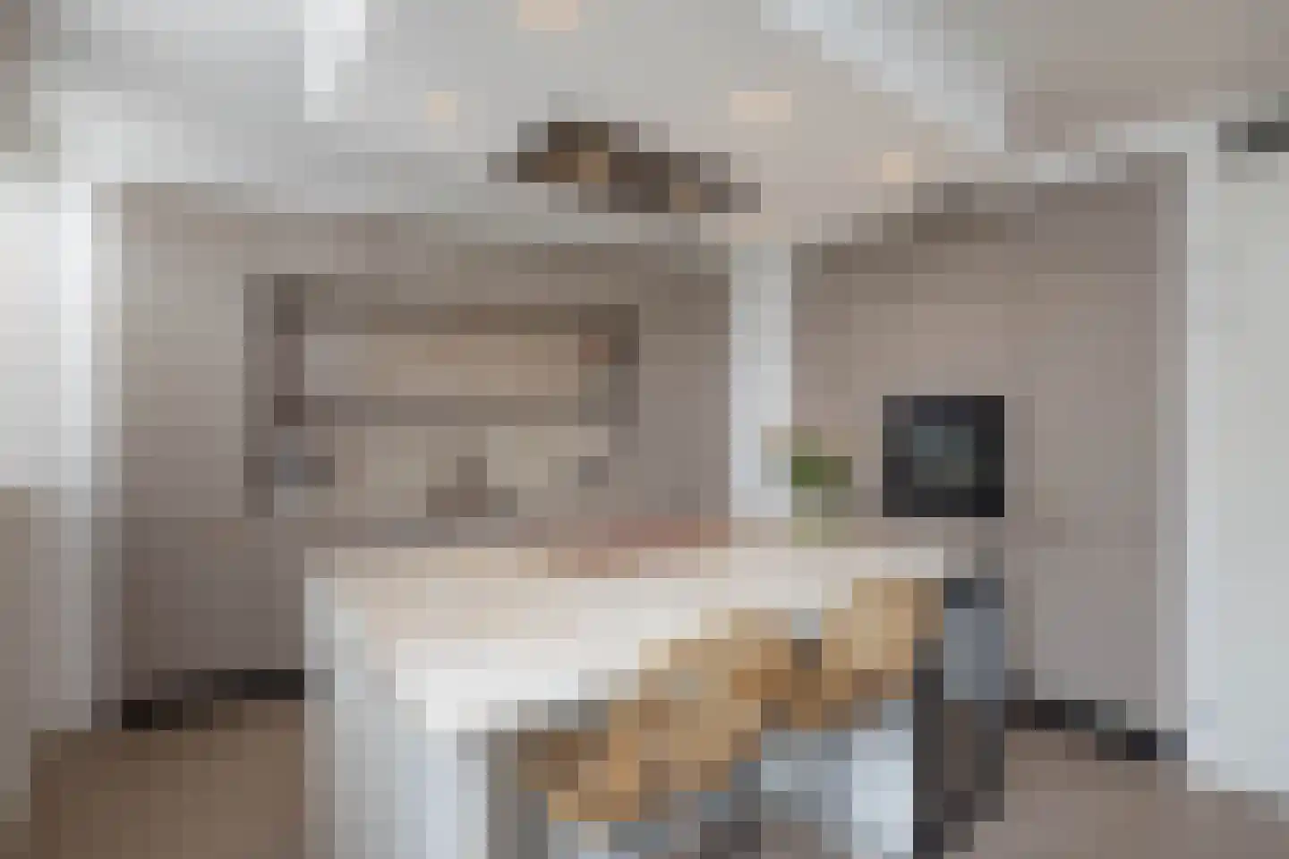 Henk Lammstraat 15 Hengelo thumbnail 5