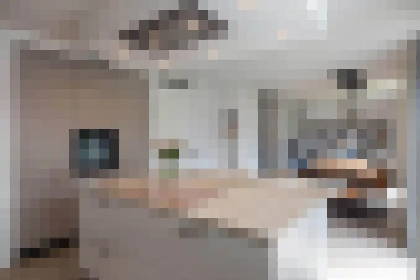 Henk Lammstraat 15 Hengelo thumbnail 7