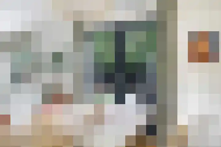 Henk Luesinkweg 14 Doetinchem thumbnail 18
