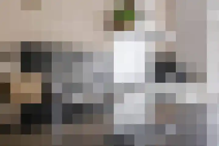Henk Luesinkweg 14 Doetinchem thumbnail 24