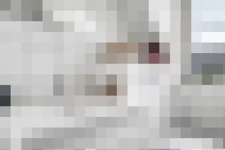 Henk Luesinkweg 14 Doetinchem thumbnail 39