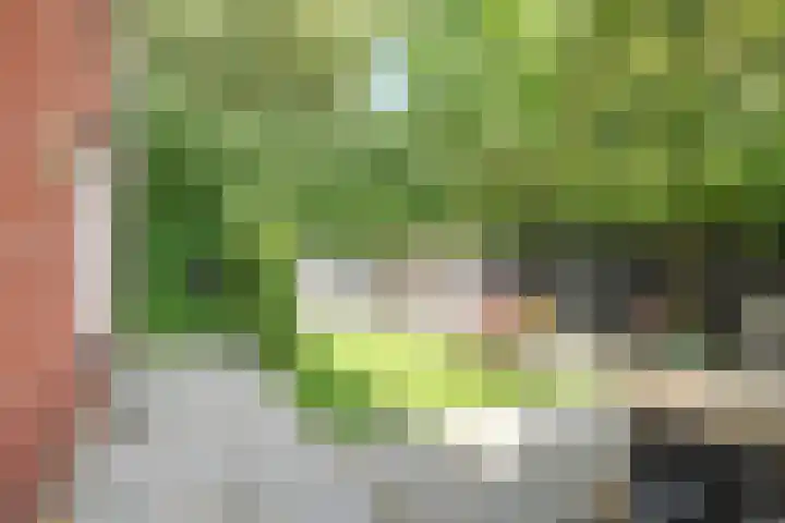 Henk Luesinkweg 14 Doetinchem thumbnail 42