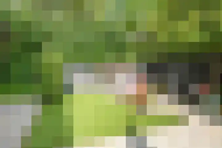 Henk Luesinkweg 14 Doetinchem thumbnail 43
