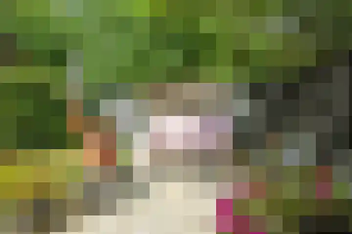 Henk Luesinkweg 14 Doetinchem thumbnail 44
