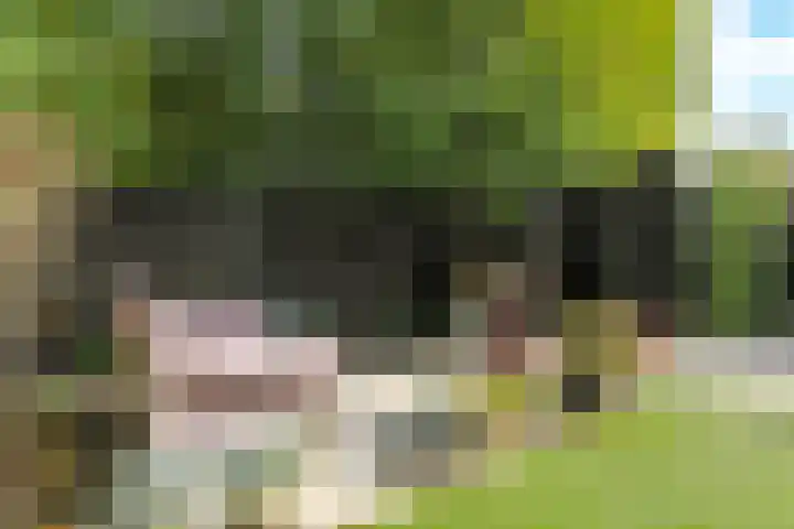 Henk Luesinkweg 14 Doetinchem thumbnail 45