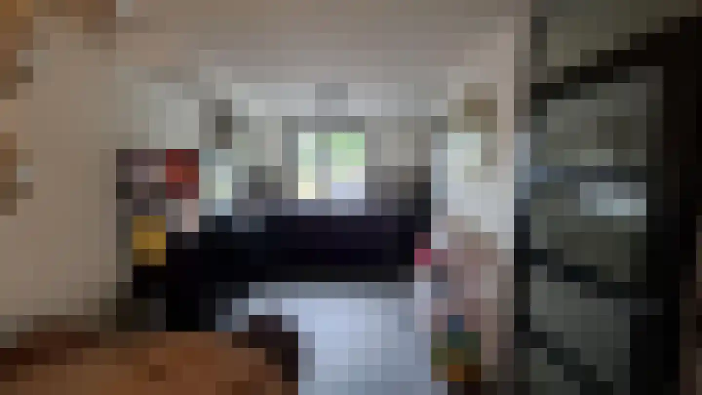 Henk Miliusstraat 48 Hoogvliet Rotterdam thumbnail 5