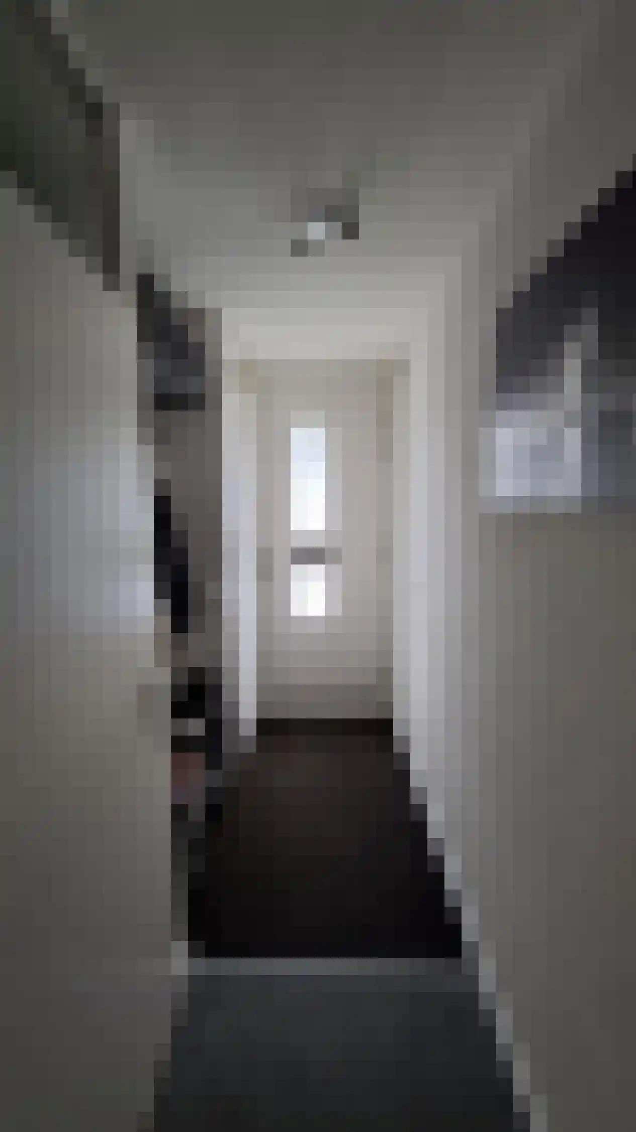 Henk Miliusstraat 48 Hoogvliet Rotterdam thumbnail 8