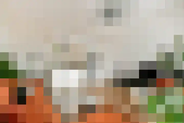 Henk Oomspad 14 Amsterdam thumbnail 13