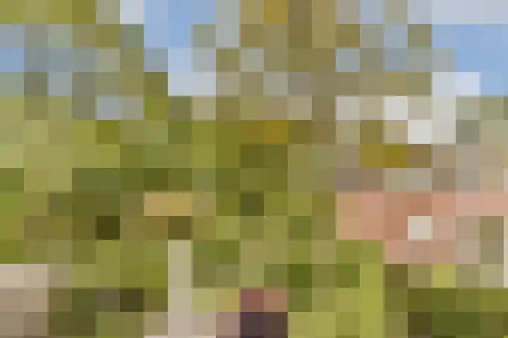 Henk Oomspad 14 Amsterdam thumbnail 38