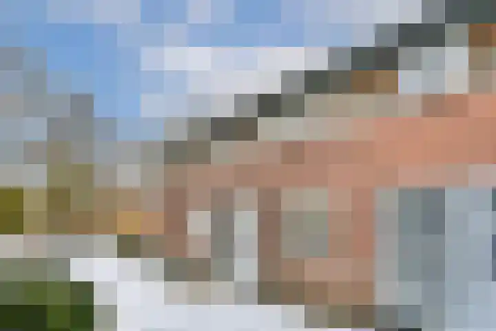 Henk Oomspad 14 Amsterdam thumbnail 6