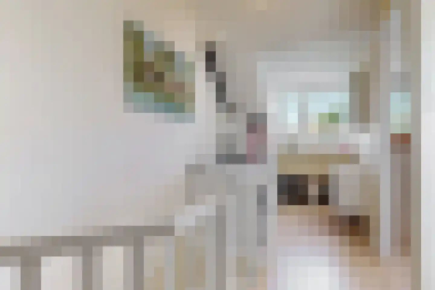 Henk Oostveenstraat 3 Abcoude thumbnail 26