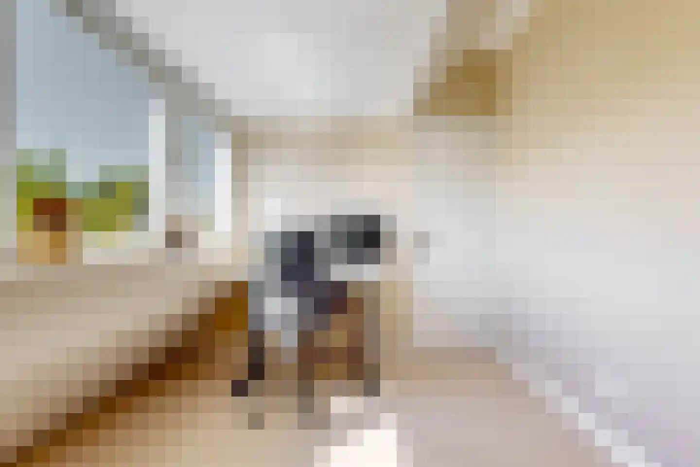 Henk Oostveenstraat 3 Abcoude thumbnail 28