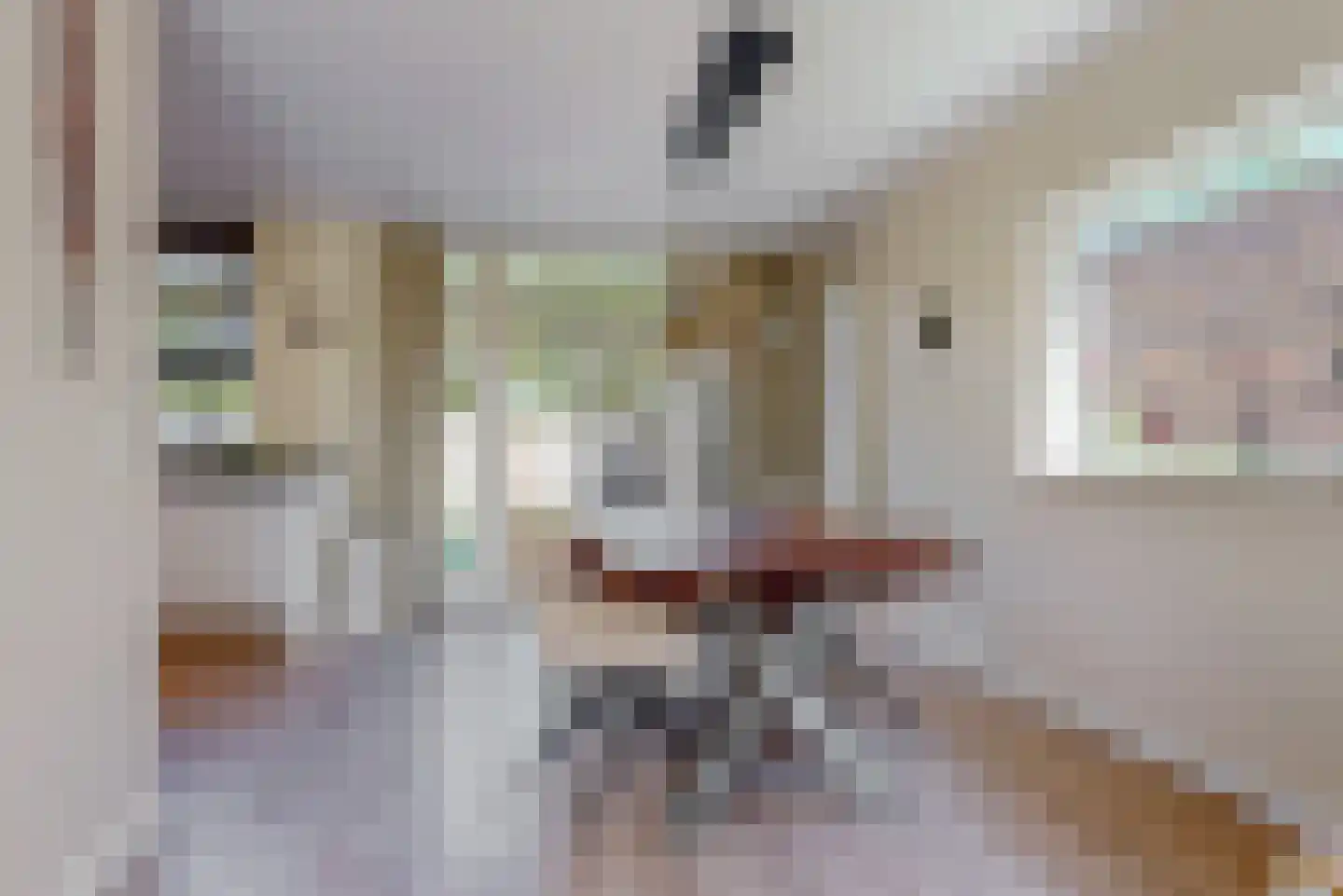 Henk Oostveenstraat 3 Abcoude thumbnail 7