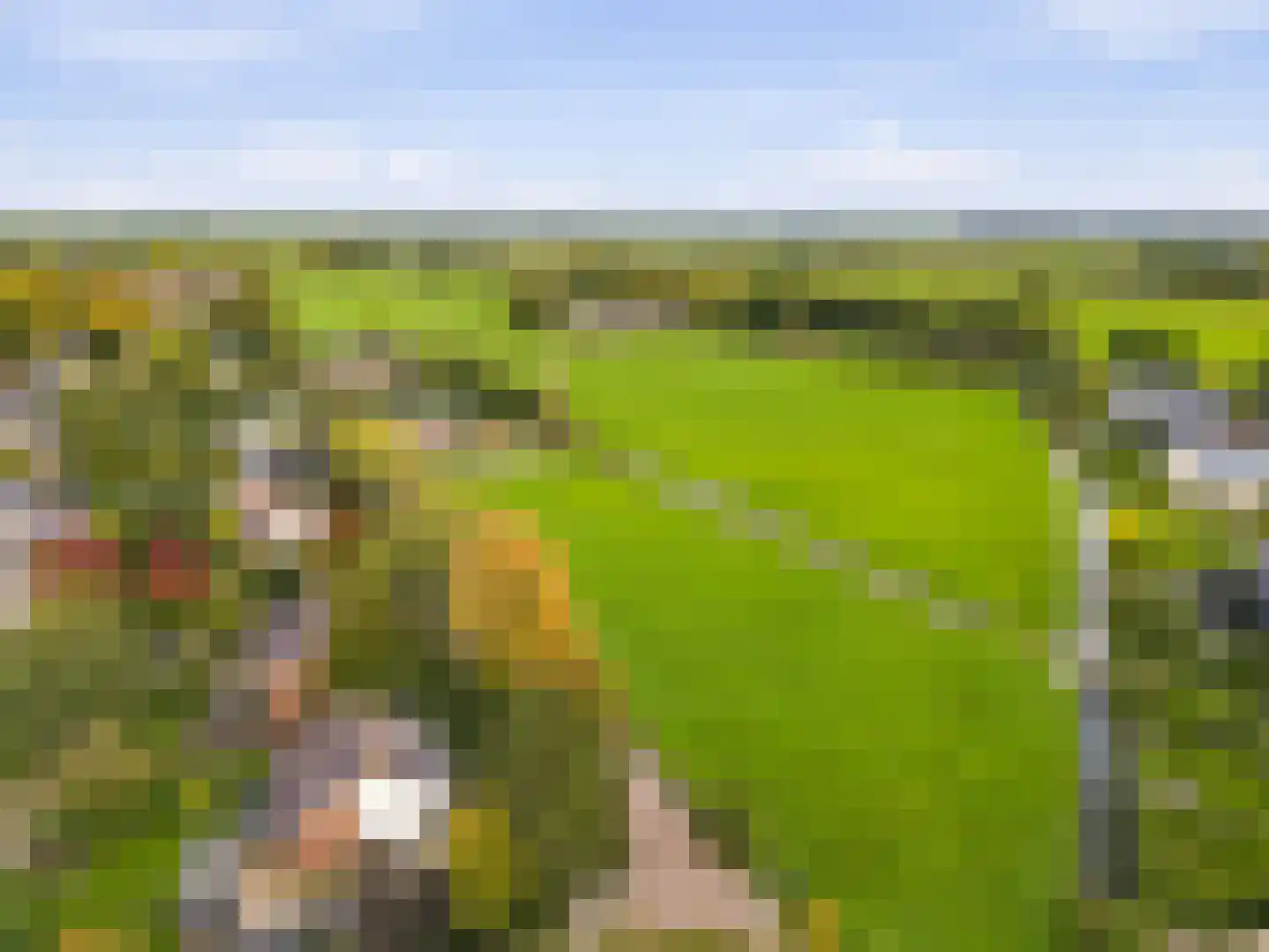 Henk Oostveenstraat 4 Abcoude thumbnail 32