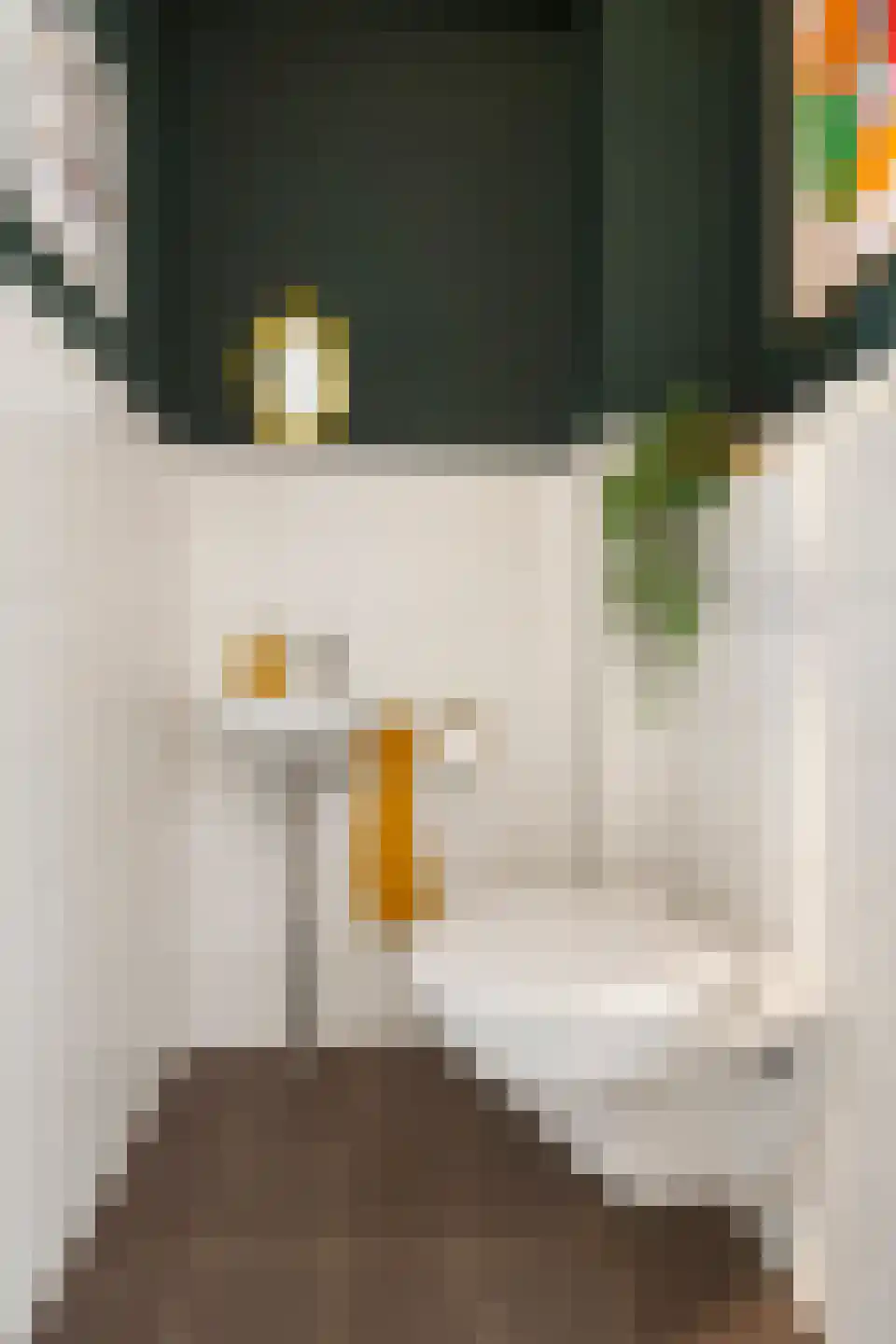 Henk Plenterlaan 44 Groningen thumbnail 31