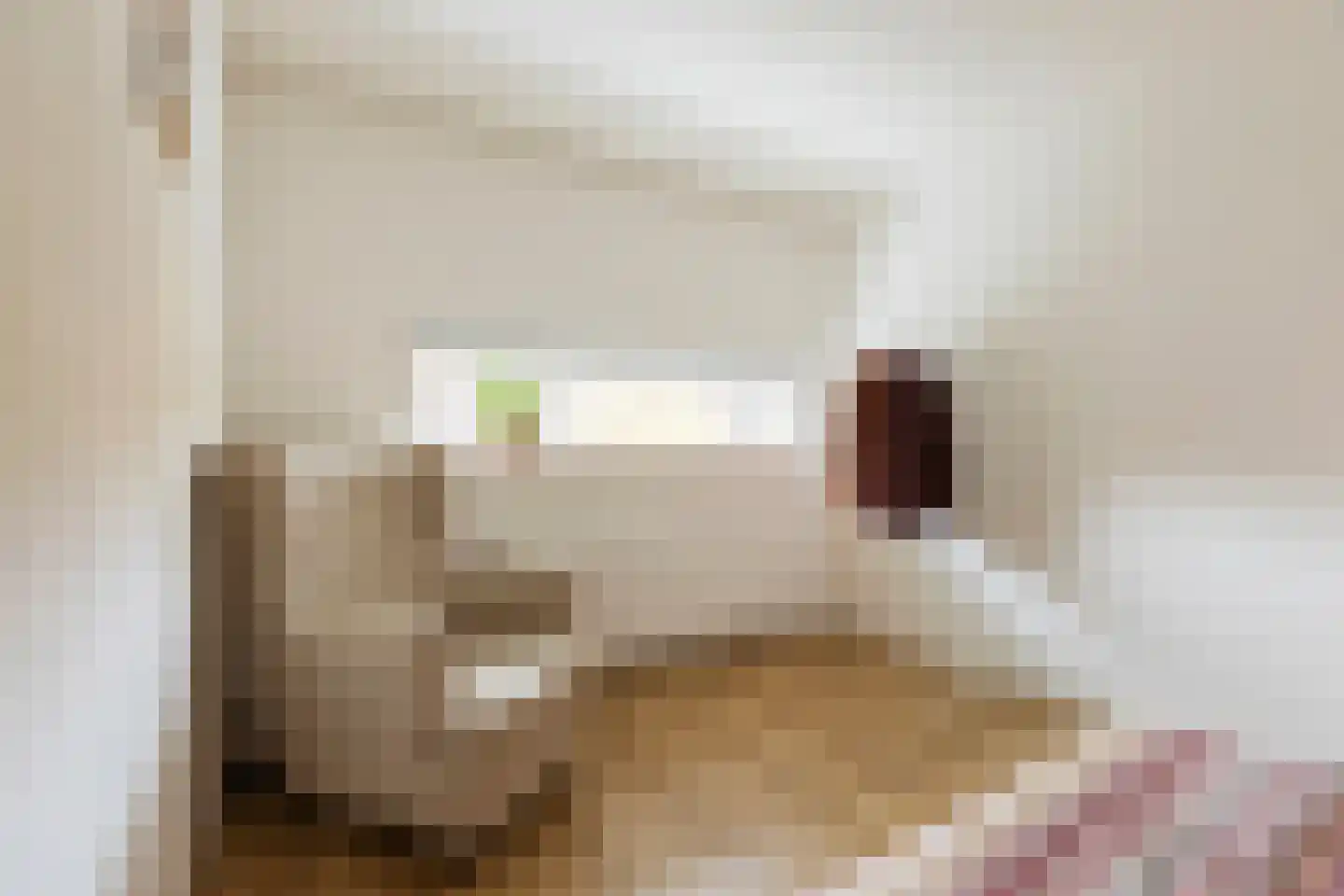 Henk Plenterlaan 44 Groningen thumbnail 36