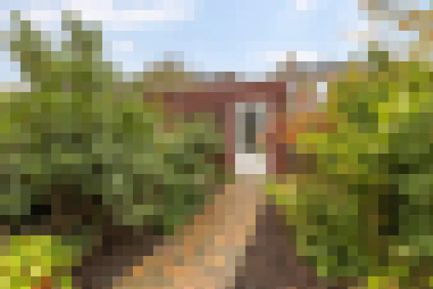 Henk Plenterlaan 44 Groningen thumbnail 39