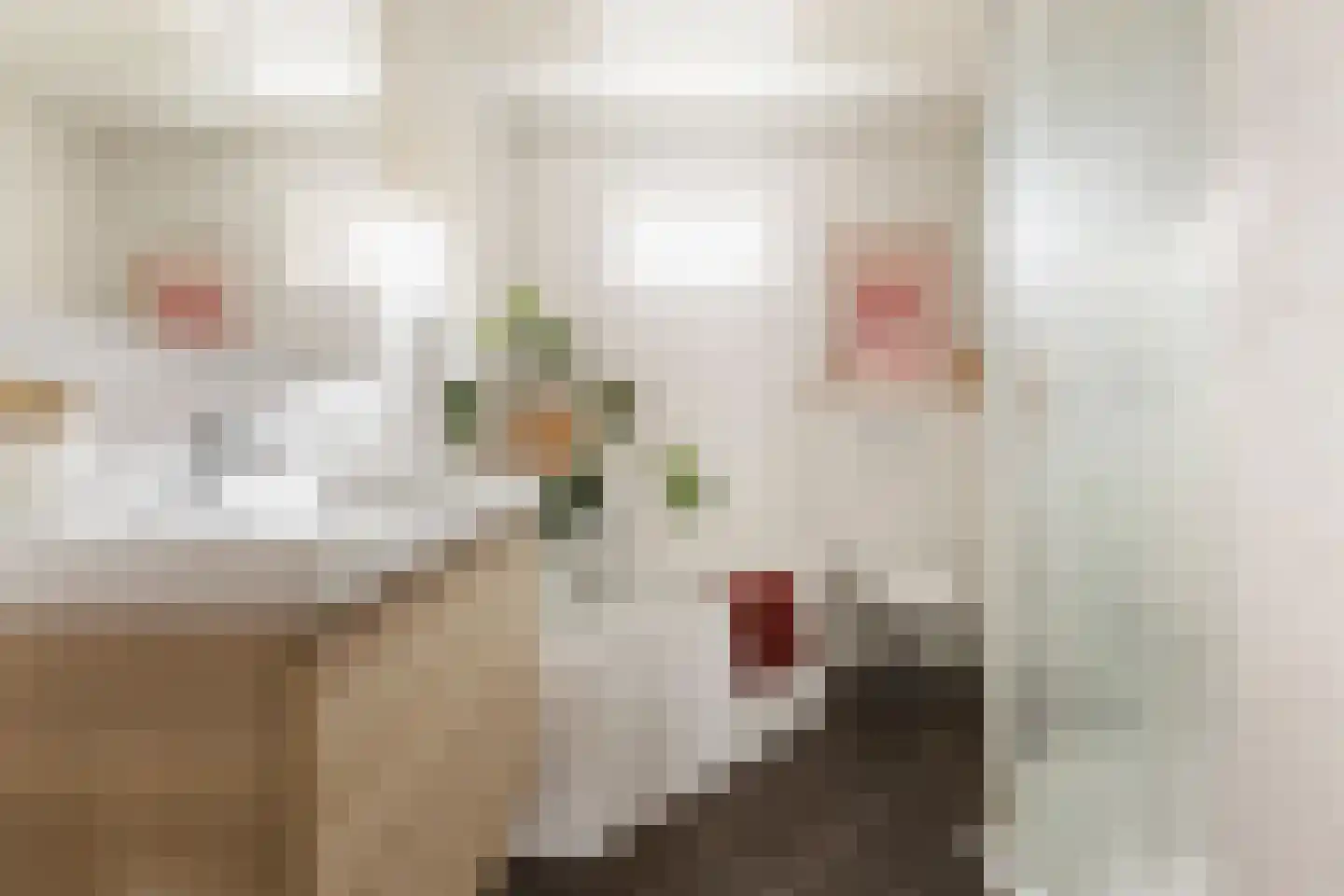 Henk Plenterlaan 44 Groningen thumbnail 6
