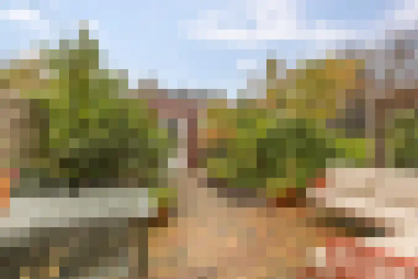 Henk Plenterlaan 44 Groningen thumbnail 7